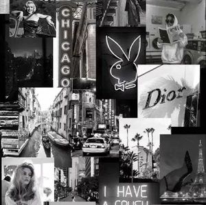 Meet your Posher, Raven